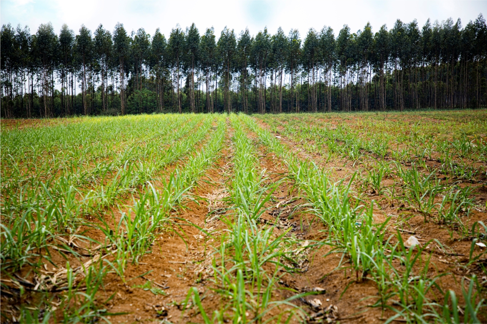 工牌3.jpg 工牌3.jpg