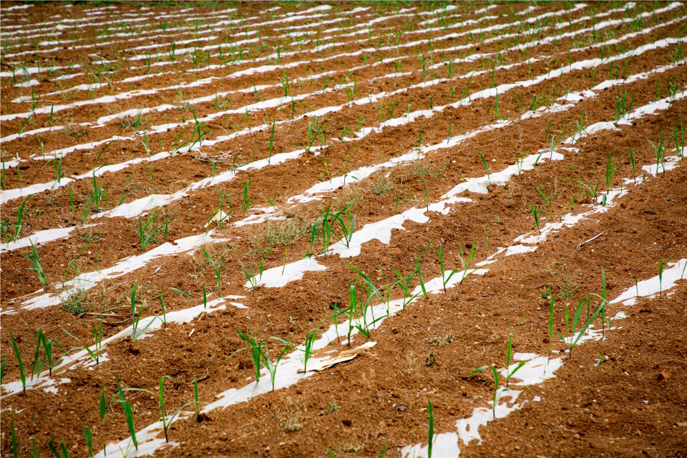 工牌3.jpg 工牌3.jpg